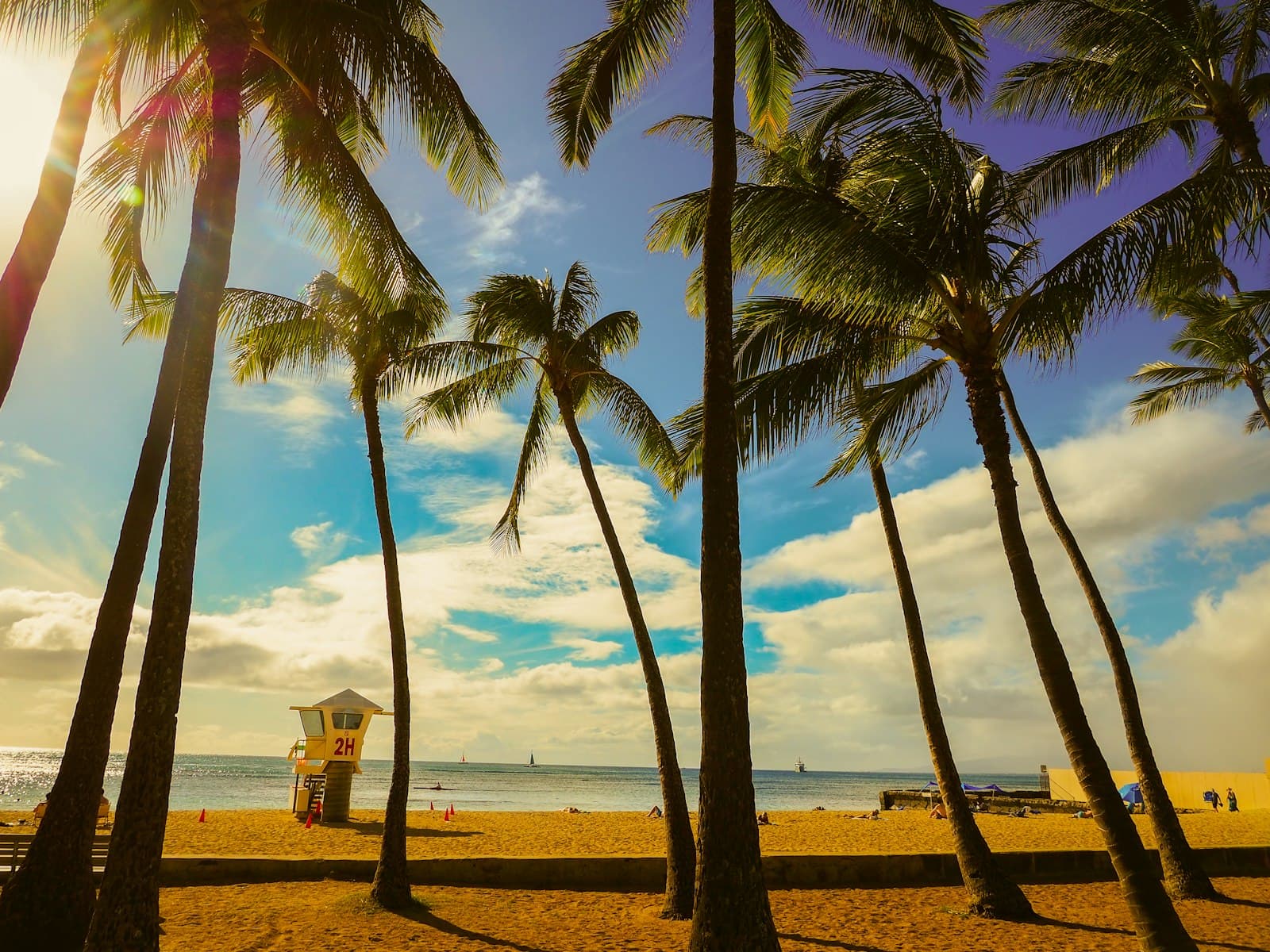 Palmen am Waikiki Beach, Hawaii