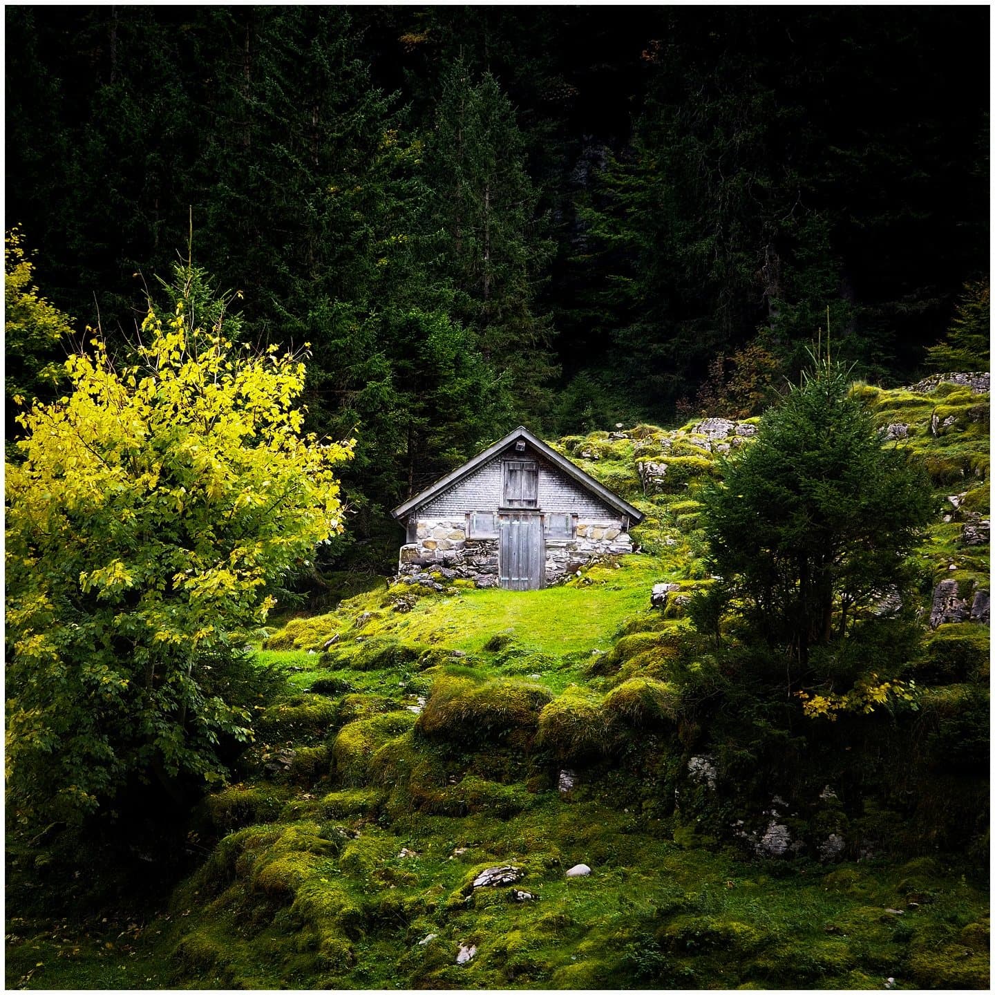 Kleine Hütte im Wald, Appenzell